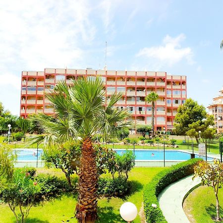 Best House Paola Torrevieja Esterno foto